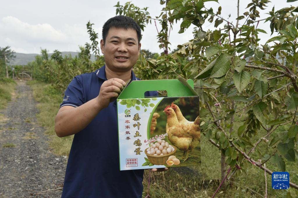长龙捕鱼充值方式没有